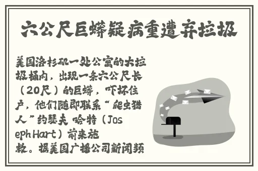 女朋友的母亲2中语字追剧易
