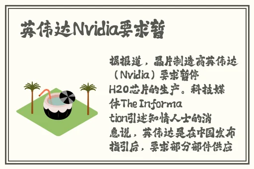 欧美人与动**欧美精品